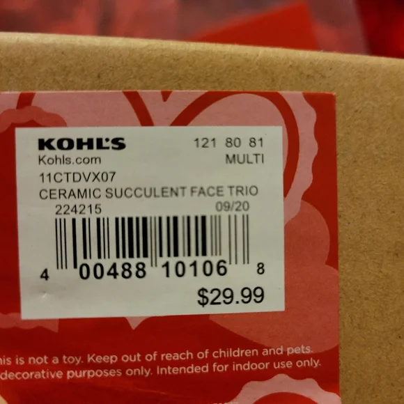 Kohl's Celebrate Together™ Valentine's Day Artificial Succulent Planter 3-pieces - Picture 15 of 16